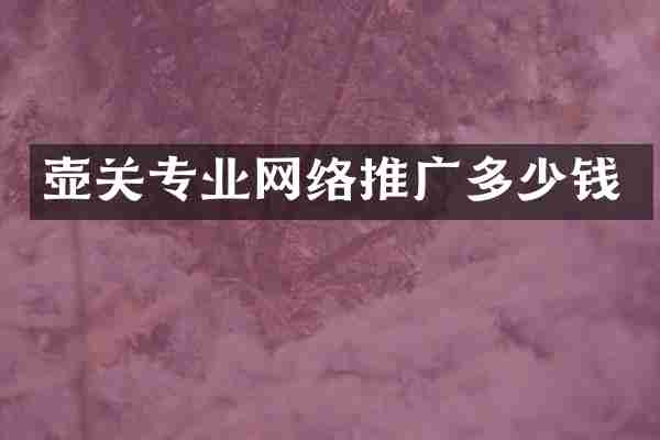 壶关专业网络推广多少钱