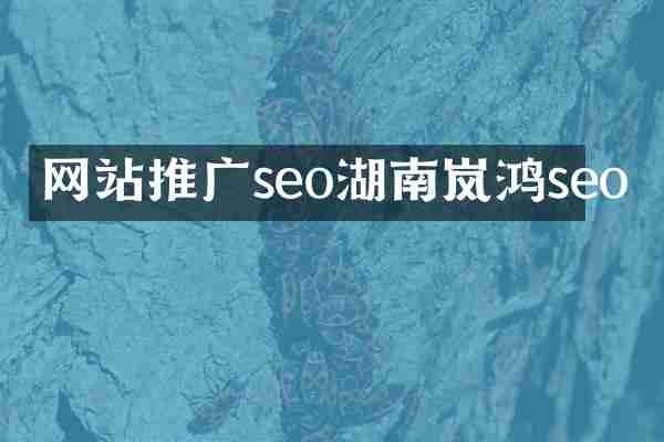 网站推广seo湖南岚鸿seo