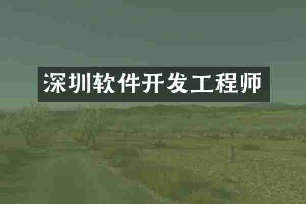 深圳软件开发工程师