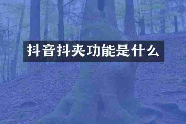 抖音抖夹功能是什么