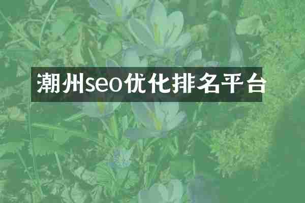 潮州seo优化排名平台