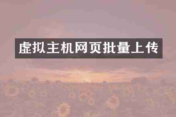 虚拟主机网页批量上传