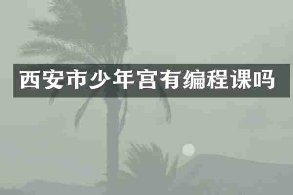 西安市少年宫有编程课吗