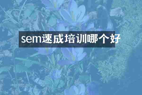 sem速成培训哪个好