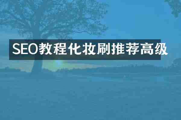 SEO教程化妆刷推荐高级