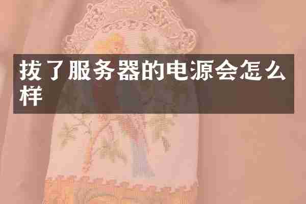 拔了服务器的电源会怎么样