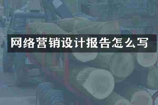 网络营销设计报告怎么写
