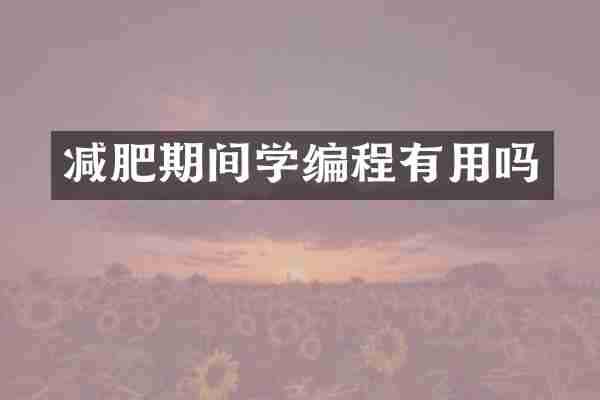 减肥期间学编程有用吗