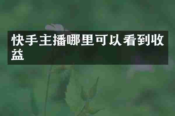 快手主播哪里可以看到收益