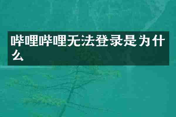 哔哩哔哩无法登录是为什么