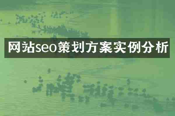 网站seo策划方案实例分析