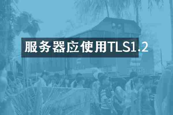 服务器应使用TLS1.2