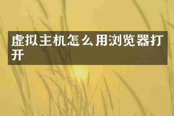 虚拟主机怎么用浏览器打开