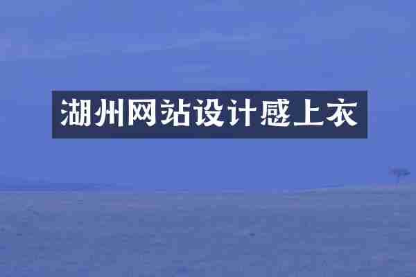 湖州网站设计感上衣