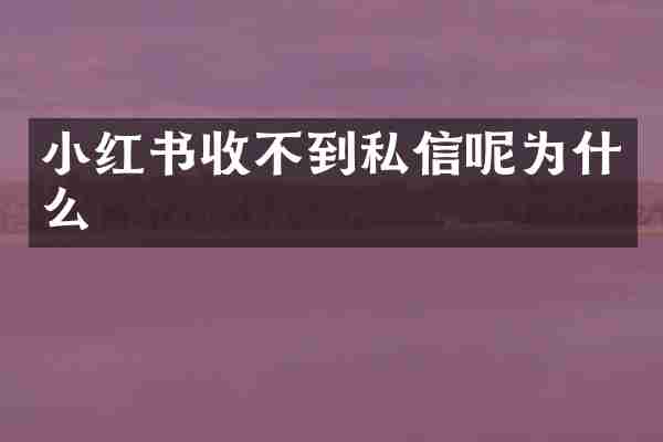 小红书收不到私信呢为什么