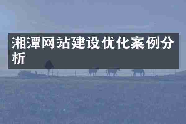 湘潭网站建设优化案例分析