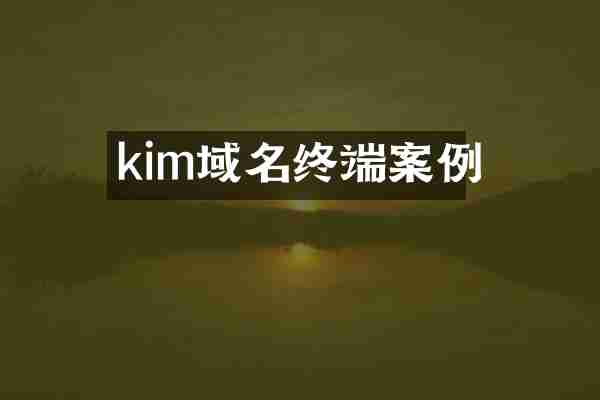 kim域名终端案例
