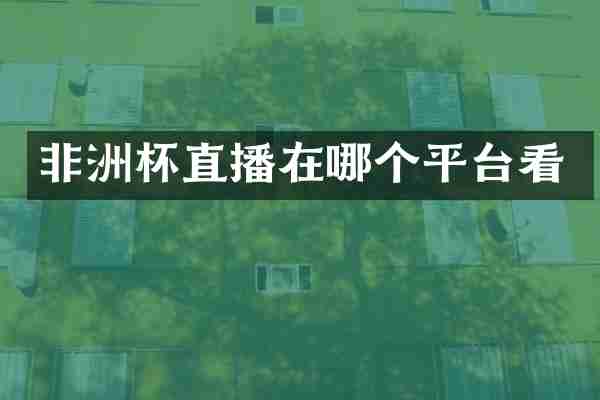 非洲杯直播在哪个平台看