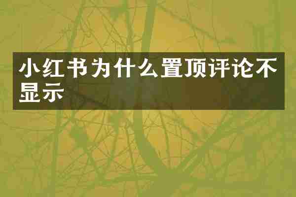 小红书为什么置顶评论不显示