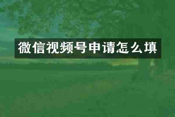 微信视频号申请怎么填