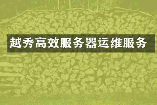 越秀高效服务器运维服务
