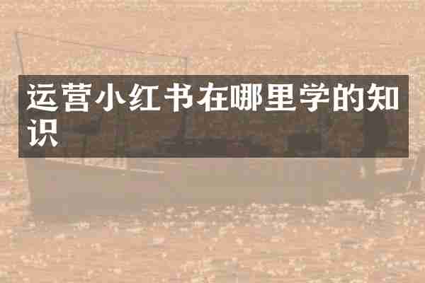 运营小红书在哪里学的知识