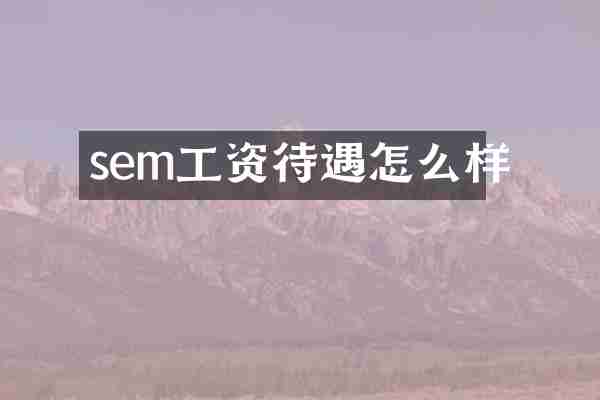 sem工资待遇怎么样