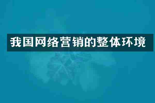 我国网络营销的整体环境