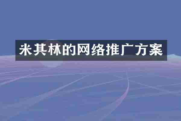 米其林的网络推广方案