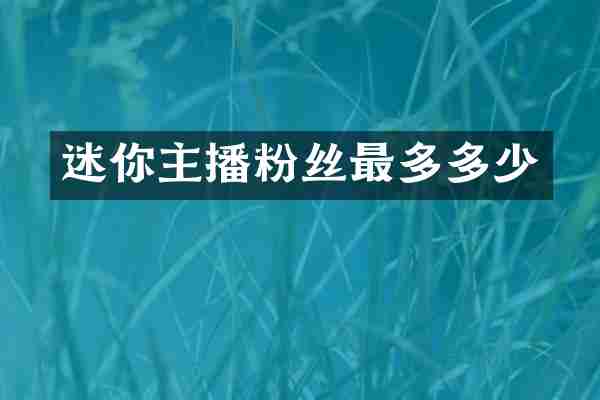 迷你主播粉丝最多多少