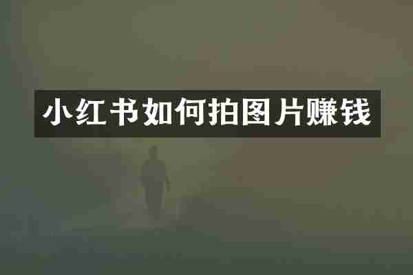 小红书如何拍图片赚钱