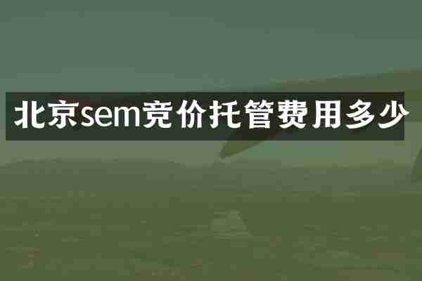 北京sem竞价托管费用多少