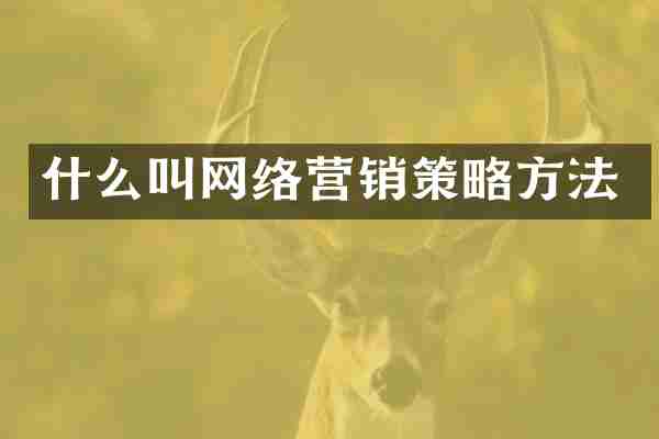 什么叫网络营销策略方法