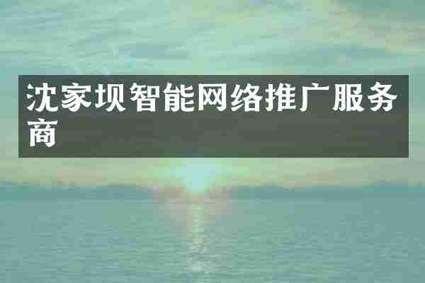 沈家坝智能网络推广服务商