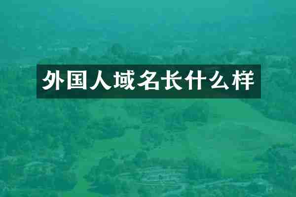 外国人域名长什么样