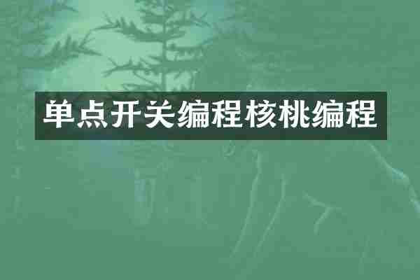 单点开关编程核桃编程
