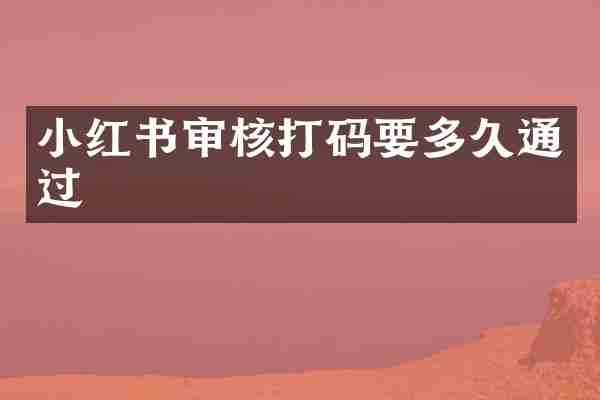 小红书审核打码要多久通过