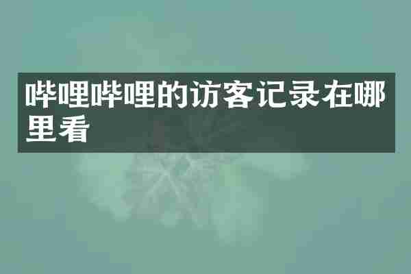 哔哩哔哩的访客记录在哪里看