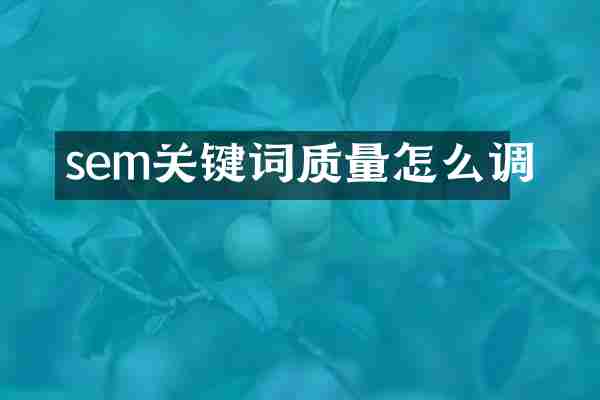 sem关键词质量怎么调