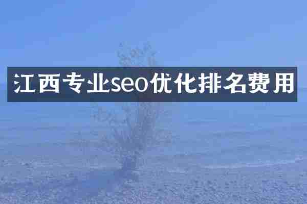 江西专业seo优化排名费用