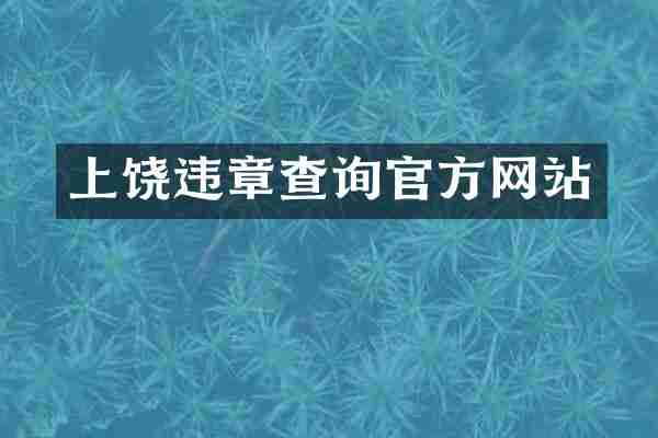 上饶违章查询官方网站