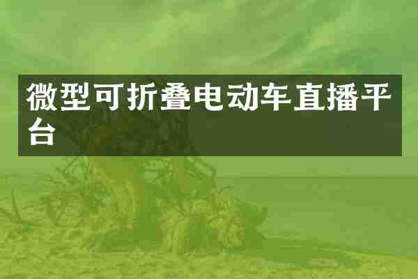 微型可折叠电动车直播平台
