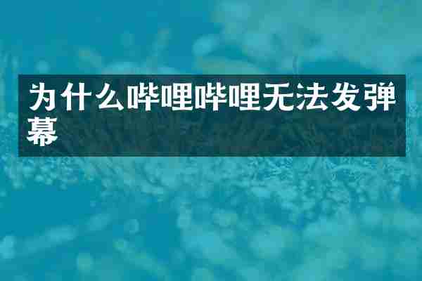为什么哔哩哔哩无法发弹幕
