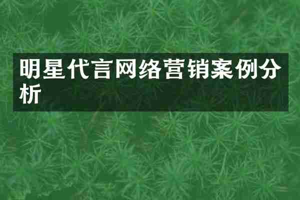 明星代言网络营销案例分析