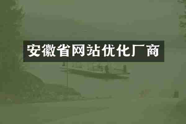 安徽省网站优化厂商