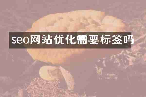 seo网站优化需要标签吗