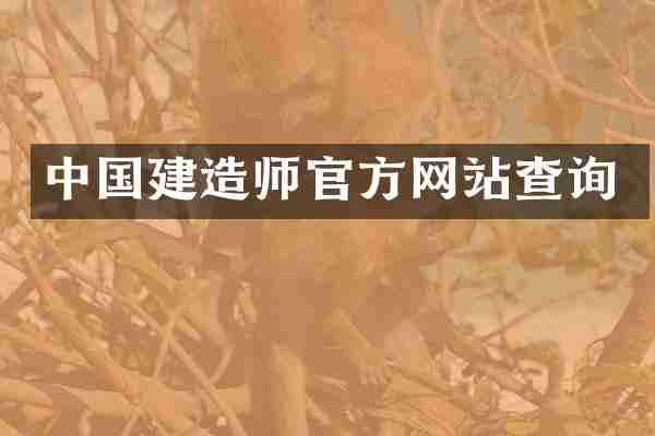 中国建造师官方网站查询