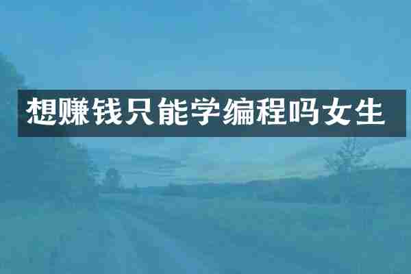 想赚钱只能学编程吗女生