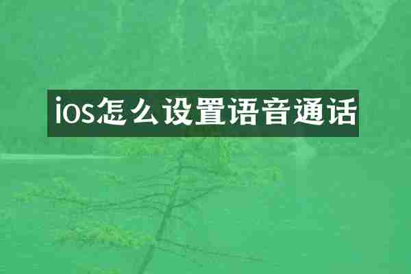 ios怎么设置语音通话