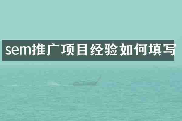 sem推广项目经验如何填写
